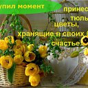 ���� �����, �����, 49 ��� - ��������� 5 ����� 2015 � ������ ������ ��������