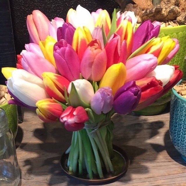   |  |  - 26  2015  18:42 - 4