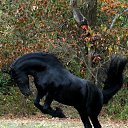 ���� ��������, ��������, 73 ���� - ��������� 28 ������� 2015 � ������ ������������ �������