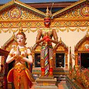  ,  -  29  2015   14-15