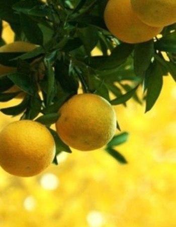 Ошибок не бывает. События, которые вторгаются в нашу жизнь, какими бы неприятными для нас они ни ... - 2