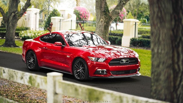 Ford Mustang GT 5.0