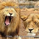 ���� ����, ���������, 60 ��� - ��������� 31 ������ 2015 � ������ ���� ����������