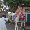 ���� ����, �������� ����, 49 ��� - ��������� 9 ����� 2015