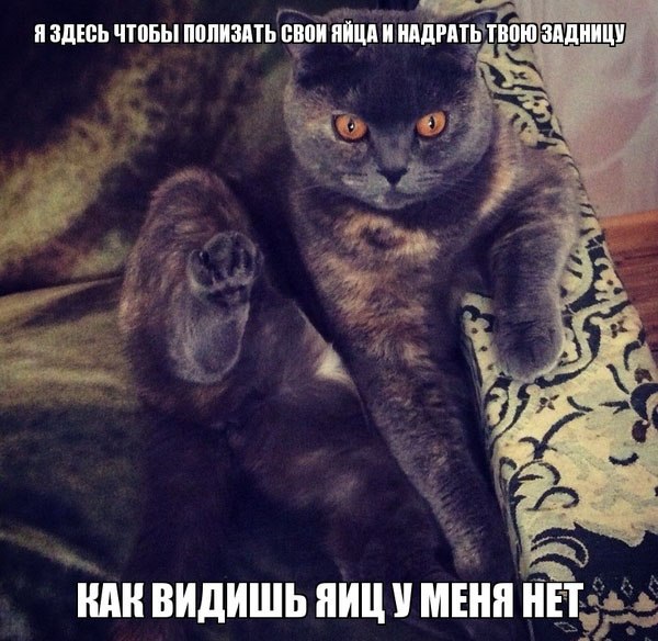  - 25  2015  18:50