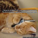 ���� �����, ���������, 43 ���� - ��������� 11 ������ 2015 � ������ ��������....�