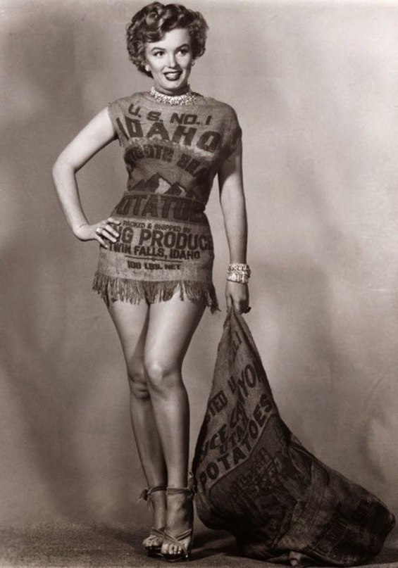   ,        , 1951 . - 3
