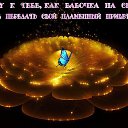   ,
 ,
 ,
 ,
 ,
  
  !
  
+7(962)709-0-511 (-).      ,   !