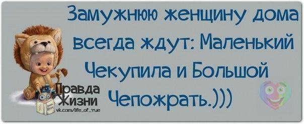   :D - 8  2015  16:25