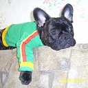 ���� ��������, ������� - ��������� 26 ����� 2015 � ������ ���� ��������