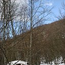 ���� ������, ������, 36 ��� - ��������� 15 ������ 2015 � ������ ���� ����������