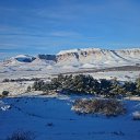 ���� �������, ������, 44 ���� - ��������� 6 ������ 2015 � ������ ���� ����������