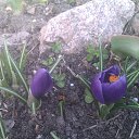 ���� ������, �������, 43 ���� - ��������� 10 ������ 2015 � ������ ���� ��������!!!!!�