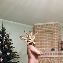 ���� ���������, ����-���������, 56 ��� - ��������� 3 ������� 2015 � ������ ������ 2015 ���