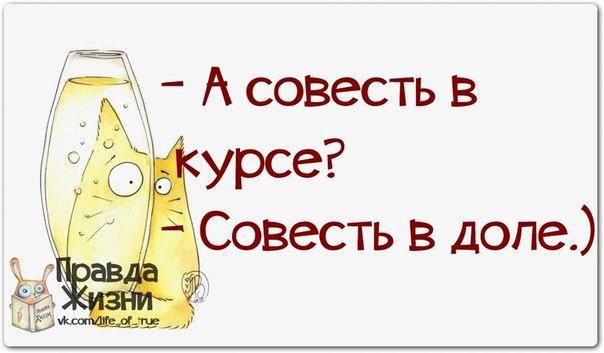   - 6  2015  16:16
