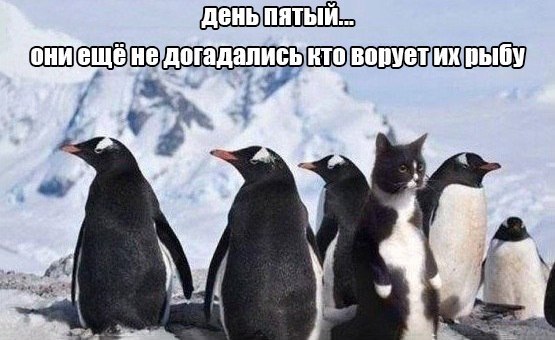       - 2  2015  18:06