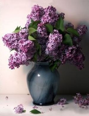   |  |  - 16  2015  09:43 - 3