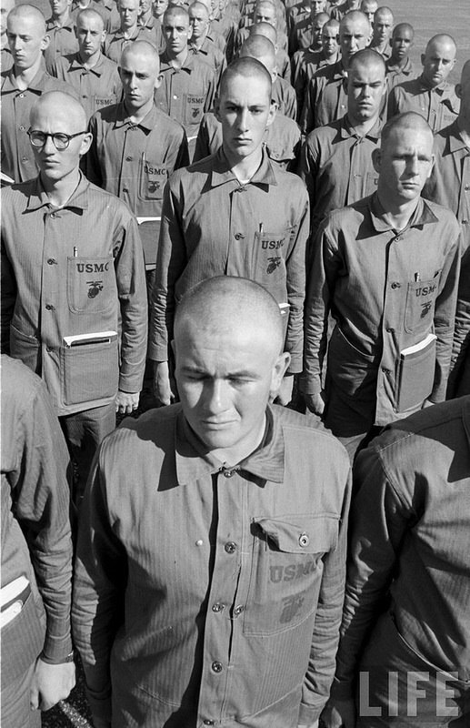  ,      1951-       ... - 5