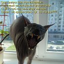 ���� �����, ������ - ��������� 13 ����� 2015 � ������ ���� ����������