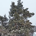 ����� ������ ����������. �� ������� ���� ����������