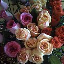 ��� 47 ��� �� ������� ���� ����������