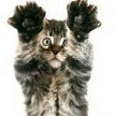 ���� Joshua, ������, 44 ���� - ��������� 20 ������ 2015 � ������ ���� ����������