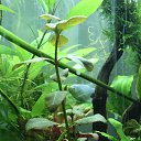 ���� V�������, ��������� - ��������� 4 ����� 2015 � ������ �������