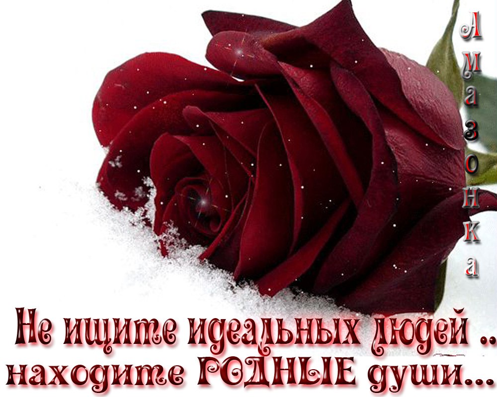 ~Dasha~ - 1  2015  12:32