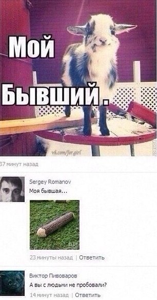  - 13  2015  11:41