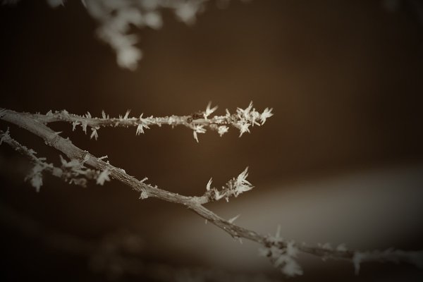  - 3  2015  09:38