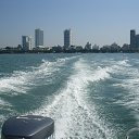 ���� ���������, �����������, 71 ��� - ��������� 8 ������ 2015 � ������ ����, ������ ���..�