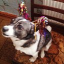 � ������, ������, ������) �� ������� ������ ��������