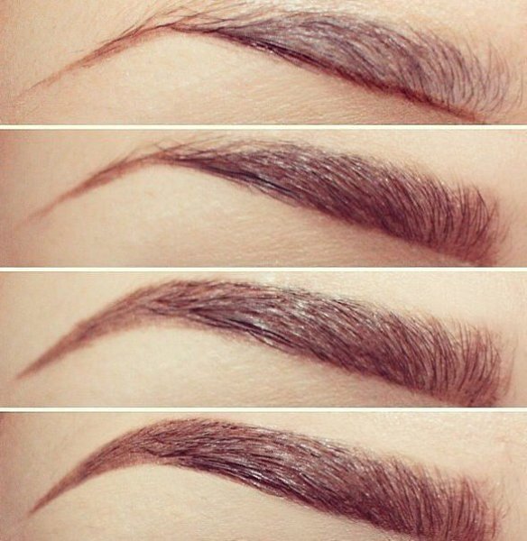 ������ �����.����� ���������������� ����������� � ��������� ������ � �������� ����� ���������� � ...