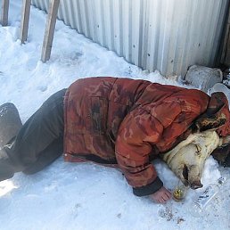 ���� ����, �����-���������, 62 ���� - ��������� 20 ������� 2015