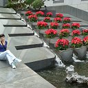 ���� ������, ������, 66 ��� - ��������� 11 ������ 2015 � ������ ���� ����������