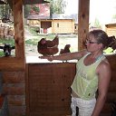 ���� �����, ���������, 42 ���� - ��������� 10 ������ 2015 � ������ ���� ����������