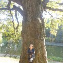 ���� ��������, ������ - ��������� 20 ����� 2015