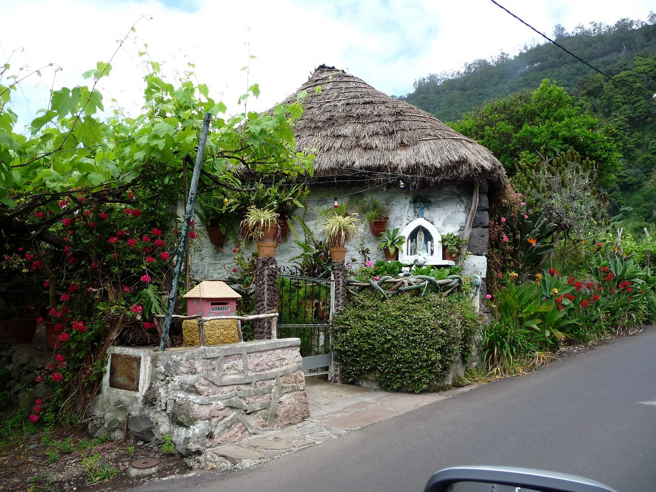  Madeira Santana