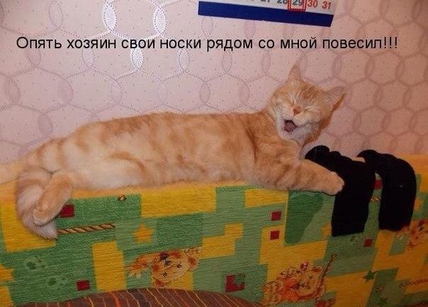    :-) - 26  2015  23:40