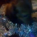 ���� Mrs, ���� - ��������� 31 ������� 2014 � ������ ������ ��������