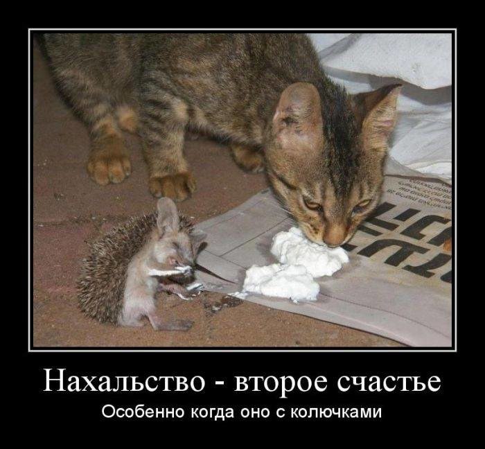 ))) - 26  2014  20:56
