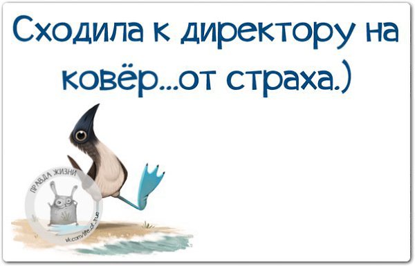 ������ ����� / ���� ! - 20 ������� 2015 � 22:07
