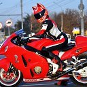 ���� �����, �����-���������, 37 ��� - ��������� 3 ������� 2015 � ������ ������ ��������