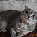 ���� ���������, �������-�����, 50 ��� - ��������� 4 ����� 2015 � ������ ������