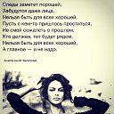 ���� ���������, �����-��������� - ��������� 9 ������� 2015 � ������ ������ ��������