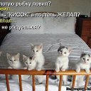 ���� ���������, �����������, 49 ��� - ��������� 24 ����� 2015 � ������ ������ ��������