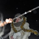 ���� ����, ������ - ��������� 4 ������ 2015 � ������ ������ ��������