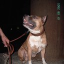 ���� ����������, ������, 53 ���� - ��������� 9 ������ 2015 � ������ ���� ����������