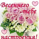 ���� ����, ����� - ��������� 27 ����� 2015 � ������ �������� ��������