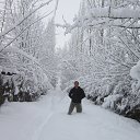 ���� ���, �������, 46 ��� - ��������� 24 ������ 2015 � ������ ���� ����������